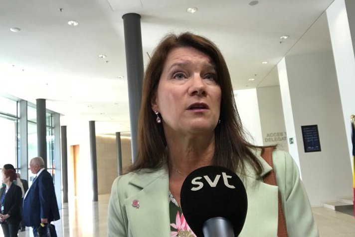 Ann Linde