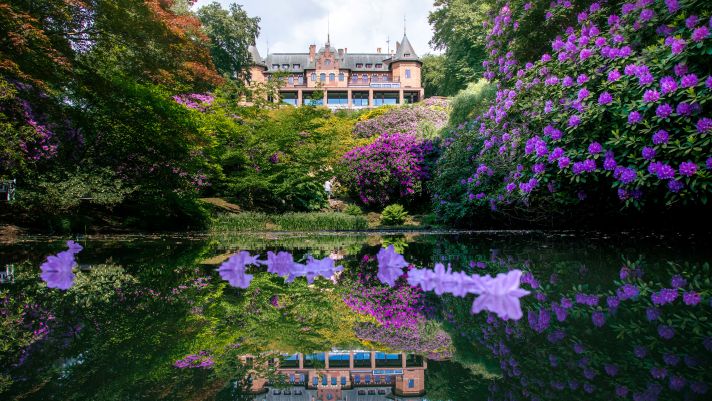 Sofiero slott i Helsingborg omgivet av rhododendron