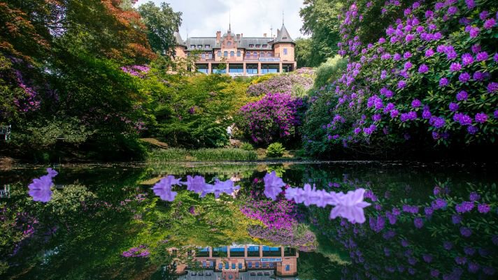 Sofiero slott i Helsingborg omgivet av rhododendron