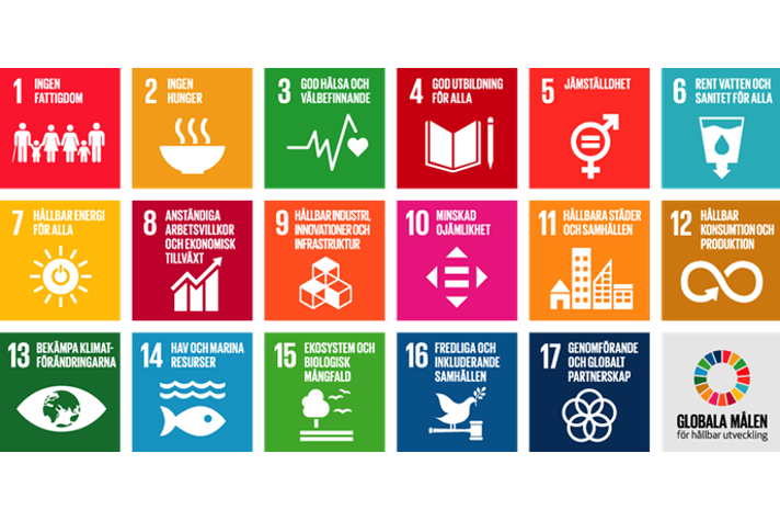 Karta med illustrationerna för alla sjutton globala mål för hållbar utveckling. 