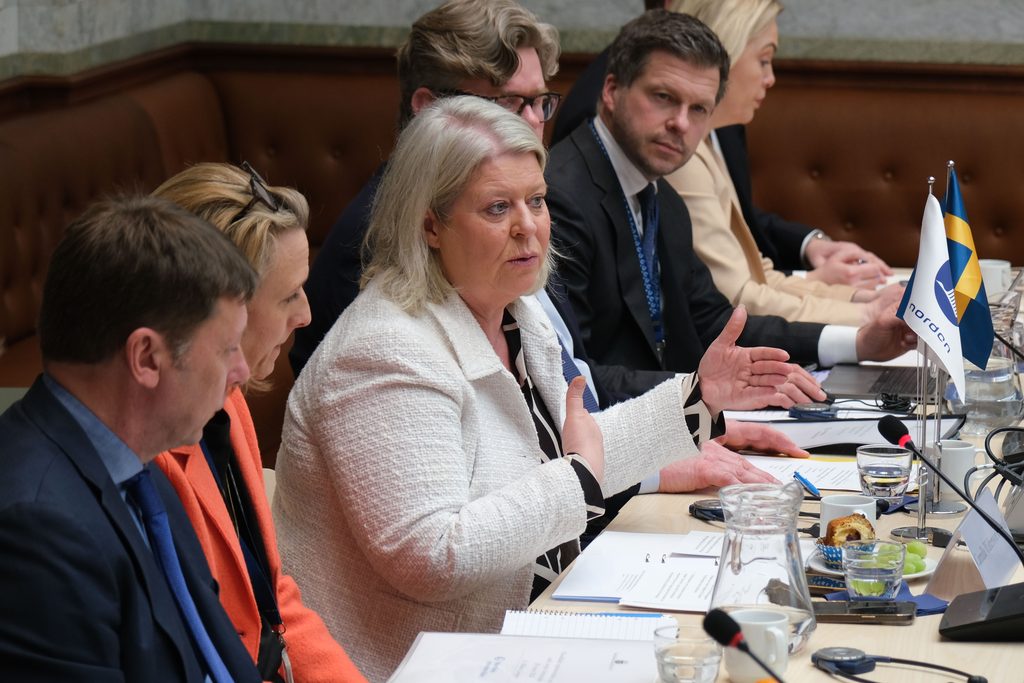 Mötet avslutades med en rundabordsdiskussion där deltagande ministrar delade med sig av sina reflektioner och erfarenheter. 