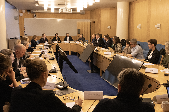 Cirka 20 deltagare sitter vid ett avlångt konferensbord.