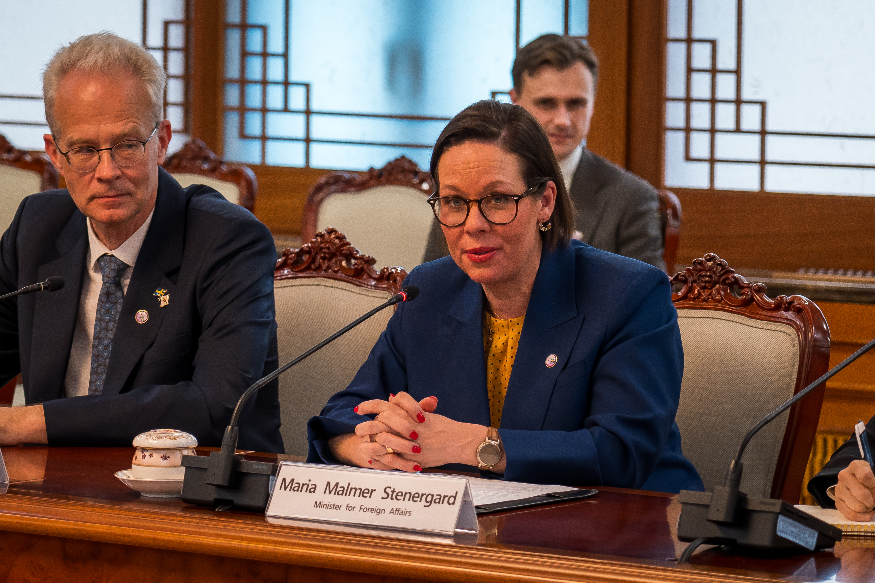 Utrikesminister Maria Malmer Stenergard talar sittandes vid bord.