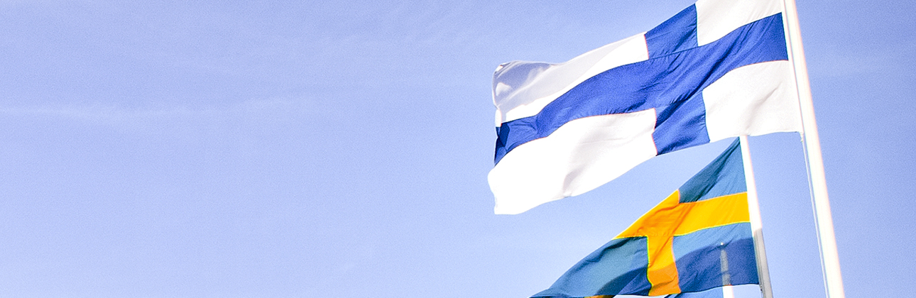 Svensk och finsk flagga Svensk och finsk flagga