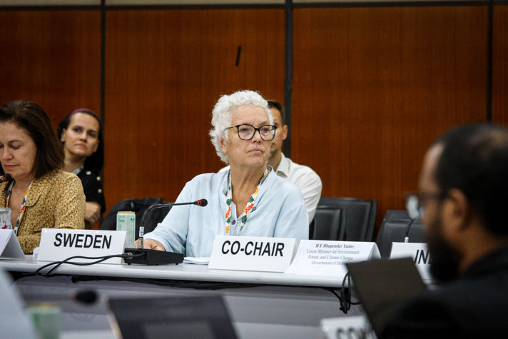 Statssekreterare Helena Dyrssen vid ett möte på FN:s klimatkonferens COP30.