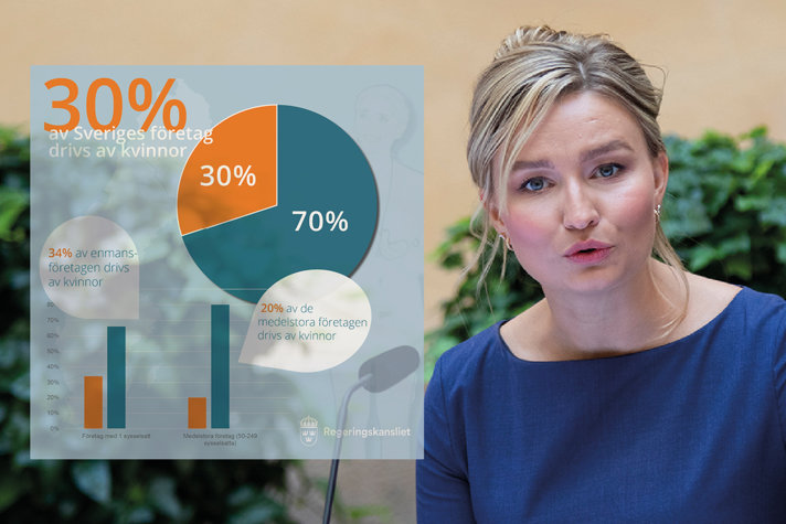 Kvinnors andel av det totala företagandet i Sverige ligger på knappt 30 procent.