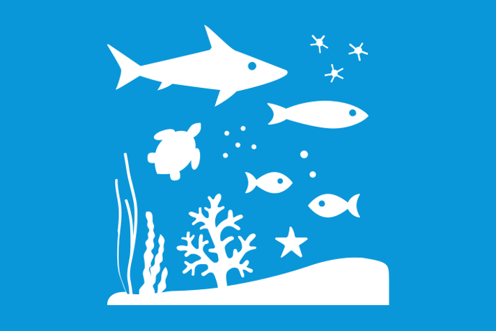 Ljusblå bakgrund vita illustrationer, rent vatten med haj, fisk, sköldpadda, sjöstjärna och små vattenlevande organismer. På botten finns levande växter.