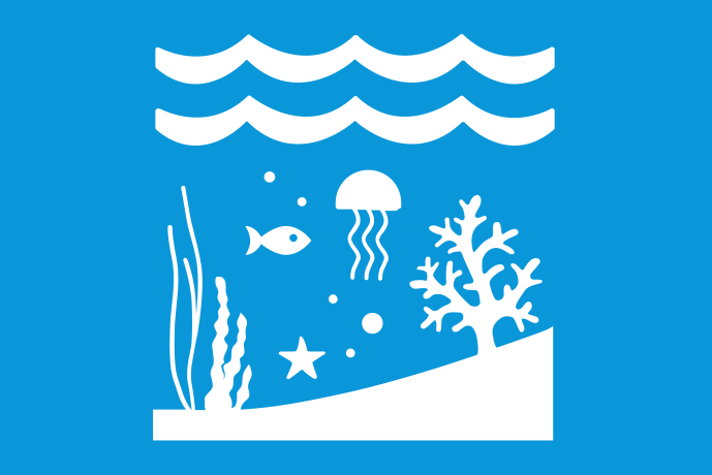 Ljusblå bakgrund vita illustrationer, rent vatten med manet, fisk, sjöstjärna och små vattenlevande organismer. På botten finns levande växter.