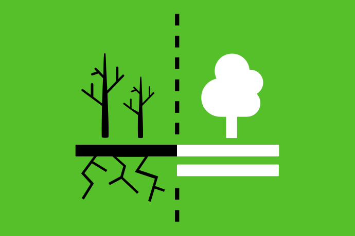 Limegrön bakgrund vita och svarta illustrationer, till vänster två svarta döda träd med döda rötter. Till höger ett vitt levande träd. I mitten en svart streckad skiljelinje.