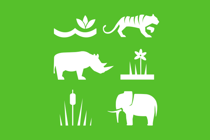 Limegrön bakgrund vita illustrationer, en vattenlevande blomma, en tiger, en noshörning, en landlevande blomma, ett gräs och en elefant.