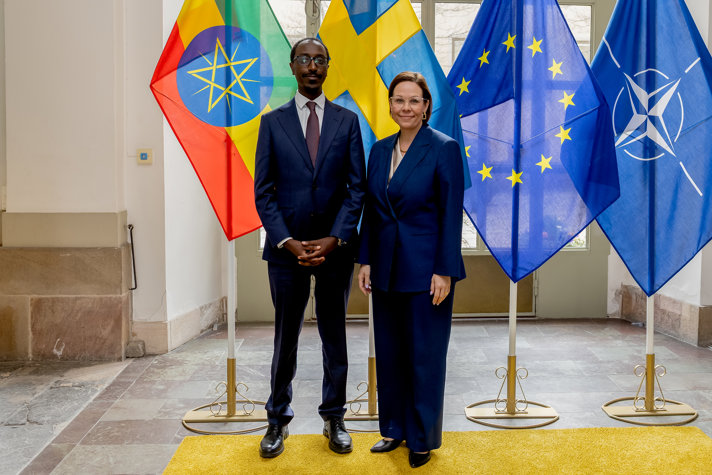 Maria Malmer Stenergard och Etiopiens utrikesminister Gedion Timothewos
